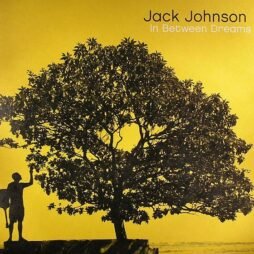 Jack Johnson - In Between Dreams