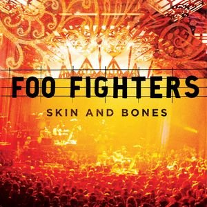 Foo Fighters - Skin And Bones (2LP)