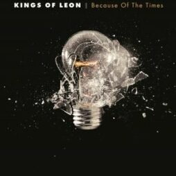Kings Of Leon - Because Of The Times (2LP)