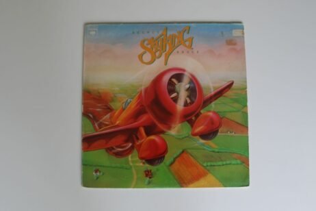 Sky King - Secret Sauce (VG+/G+)