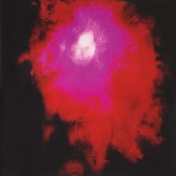 Porcupine Tree - Up The Downstair (2LP)