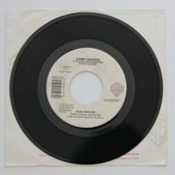 Damn Yankees - High Enough (VG+/Gen) (7")