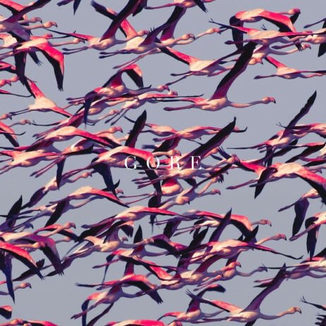 Deftones - Gore (2LP)