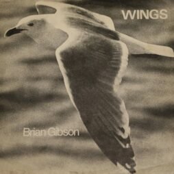 Brian Gibson - Wings (VG) (Autographed)