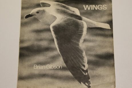 Brian Gibson - Wings (VG) (Autographed)