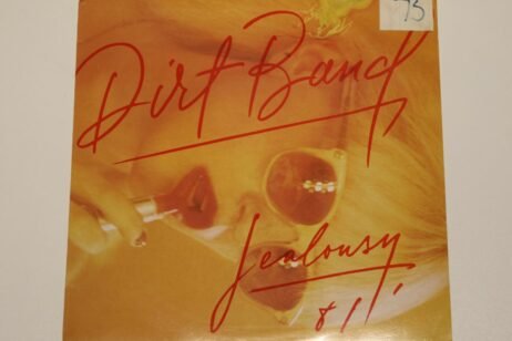 The Dirt Band - Jealousy (VG)