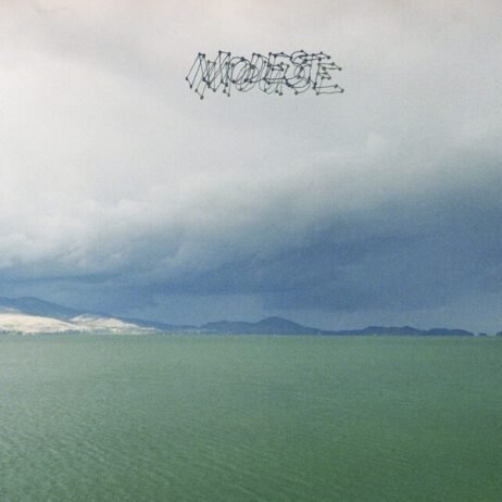 Modest Mouse ‎- The Fruit That Ate Itself