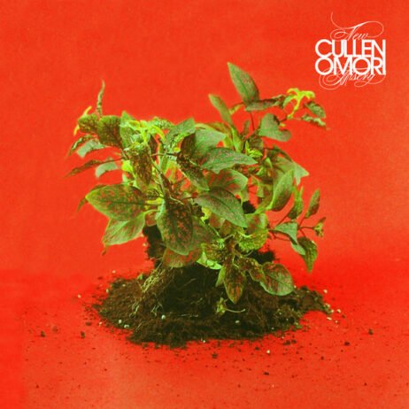 The image is of the album cover for "New Misery" by Cullen Omori. The cover features a plant with exposed roots against a vivid red background. The band's name isn in the top right corner in white.