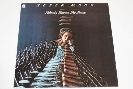 Roger Moon - Nobody Knows My Name (VG+)