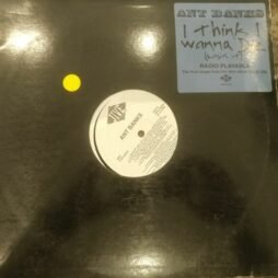 Ant Banks - I Think I Wanna Die (Losin' It) (VG/Gen) (12")