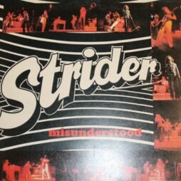 Strider - Misunderstood (VG)