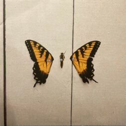 Paramore - Brand New Eyes