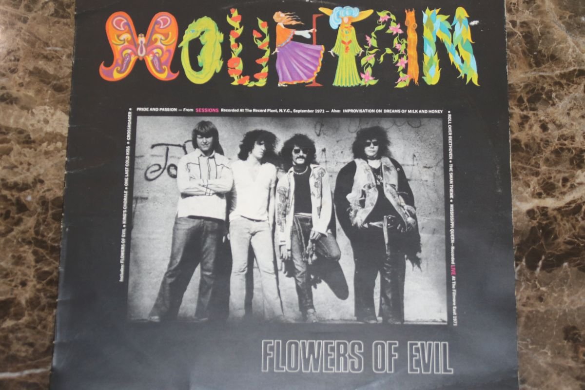 Mountain Flowers Of Evil (G+) Mr Vinyl