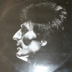 Chris Reeves - A Brief Glimpse Of What's To Come (VG+/VG)