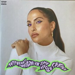 Snoh Aalegra - Temporary Highs In The Violet Skies (2LP)