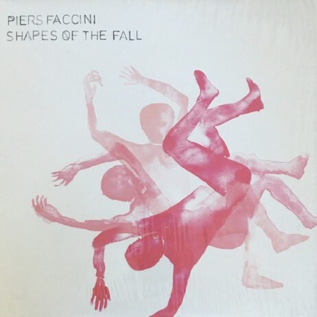 Piers Faccini - Shapes Of The Fall