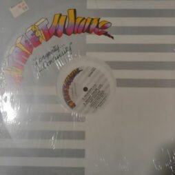 Two Sisters - Destiny (VG++/Gen) (12")