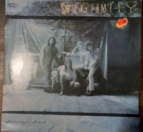 Shaking Family - Dreaming In Detail (VG)