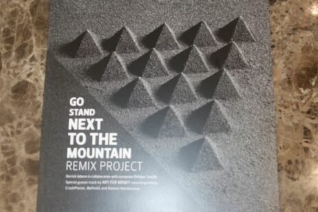 Derrick Adams - Go Stand Next The Mountain Remix Project (NM)