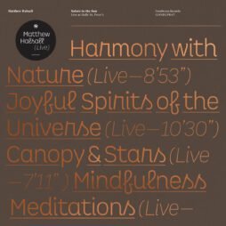 Matthew Halsall - Salute To The Sun (Live) (2LP)