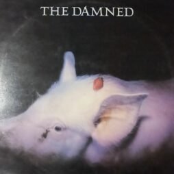 The Damned - Strawberries (G+)