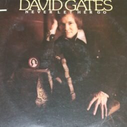 David Gates - Never Let Her Go (VG/G+)