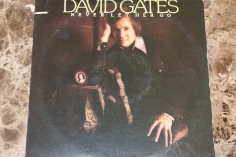 David Gates - Never Let Her Go (VG/G+)
