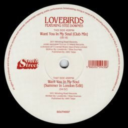 Lovebirds Featuring Stee Downes - Want You In My Soul
