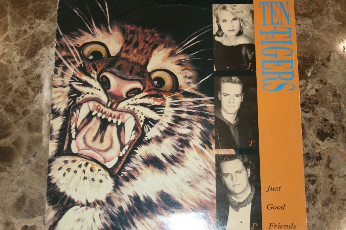 Ten Tigers - Just Good Friends (VG)