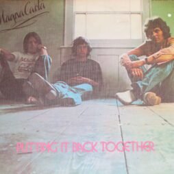 Magna Carta - Took A Long Time (VG)