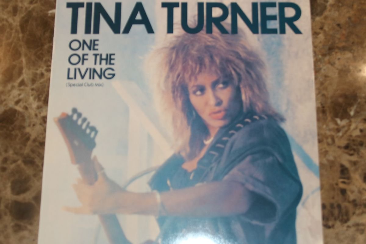Tina Turner One Of The Living (Special Club Mix) (VG+) (12") Mr Vinyl