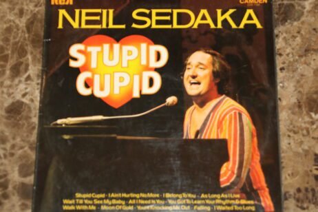 Neil Sedaka - Stupid Cupid (VG)
