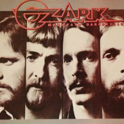 The Ozark Mountain Daredevils - Ozark Mountain Daredevils (VG+)