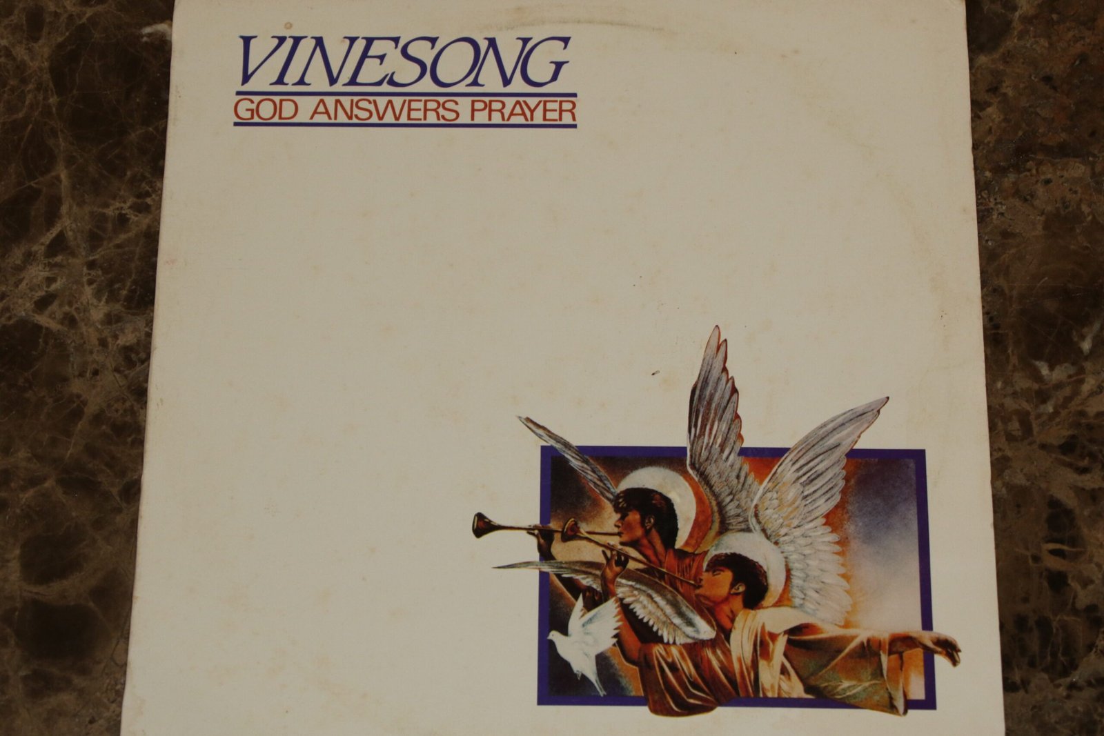 Vinesong - God Answers Prayers (VG)
