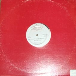 Billy Nichols - Give Your Body Up To The Music (VG/Gen) (12")