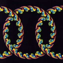 Tool - Lateralus (Ltd. Ed. 2LP Pic. Discs)