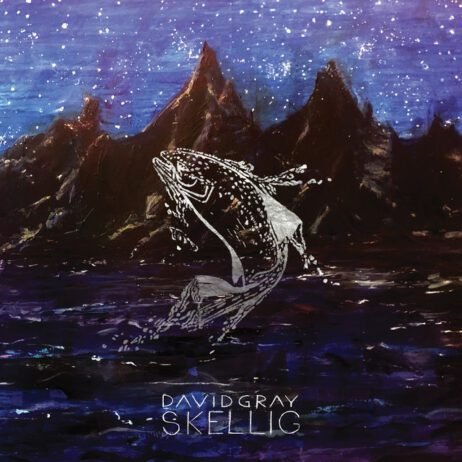 David Gray - Skellig (2LP)