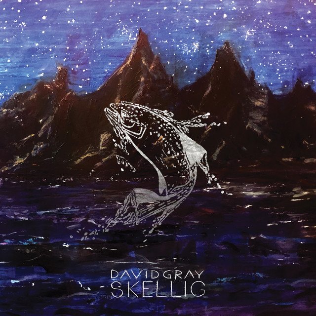 David Gray - Skellig (2LP)