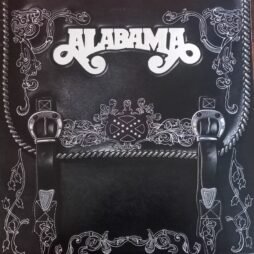 Alabama - Feels So Right (VG)