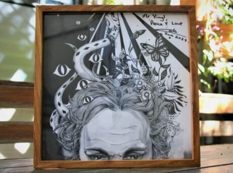 This is the image of a Vinyl Protector 1LP Record Frame.
