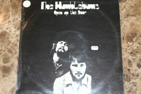 The Humblebums - Open Up The Door (VG+/G+)