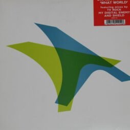 Damien J. Carter - What World (VG+)