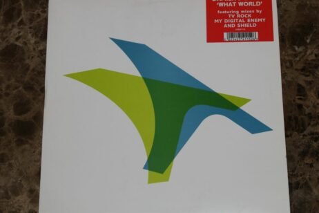 Damien J. Carter - What World (VG+)