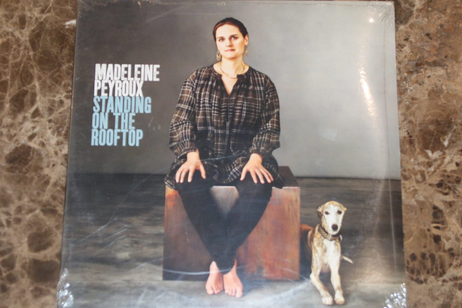 Madeleine Peyroux - Standing On The Rooftop (Sealed) (2LP) - Mr Vinyl