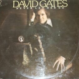 David Gates - Never Let Her Go (G+)