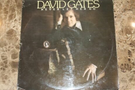 David Gates - Never Let Her Go (G+)