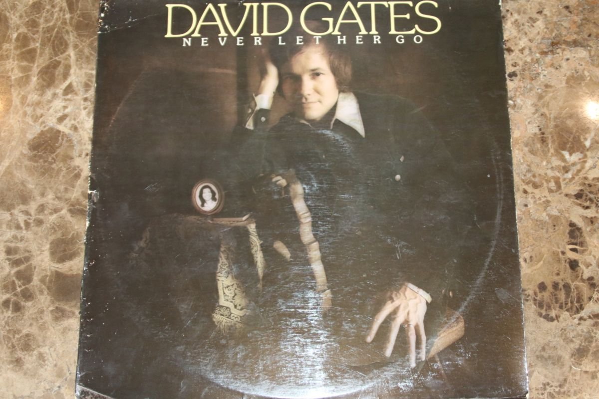 David Gates - Never Let Her Go (G+)