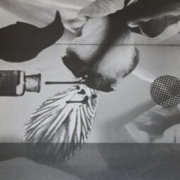 Demdike Stare - Elemental Part Four: Iris (VG+) (Navy Blue Vinyl)