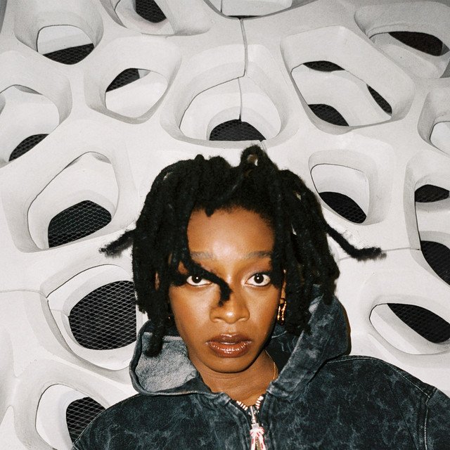 This I think album covers for Little Simz - No Thank You. It features a close-up portrait of a woman with striking facial features and expressive eyes, framed by short dreadlocks. She wears a zip-up hoodie, and the background consists of an abstract geometric pattern resembling honeycombs or rounded holes.