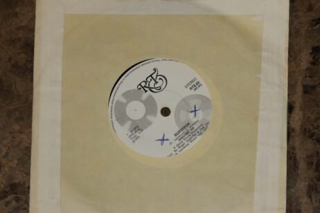 Chicory Tip - Survivor (VG+/Gen) (7")